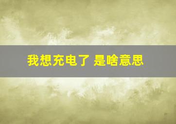 我想充电了 是啥意思